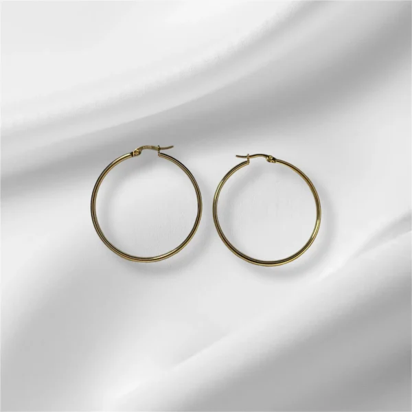 Stainless Steel Hoop Earrings - In Gold and Silver - Image 5